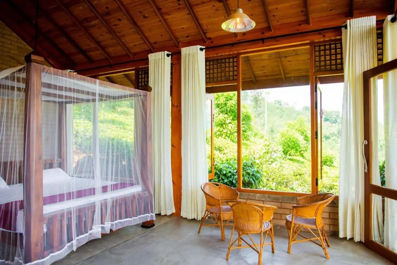 Tforestecolodge Panwila Apartment